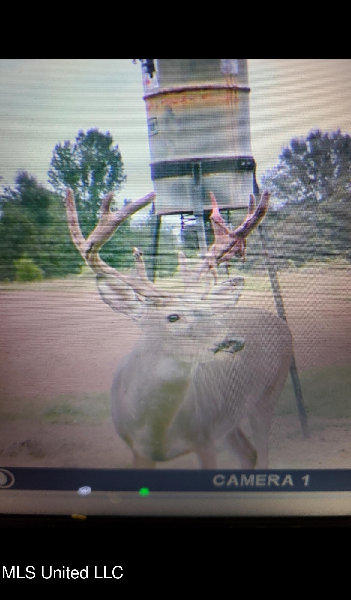 Franklin Road Goodman, MS 39079 - Photo 26 of 47 IMG_9150