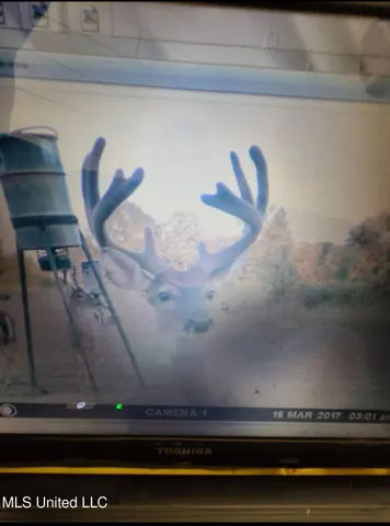 $399,000 | Franklin Road, Goodman, MS 39079