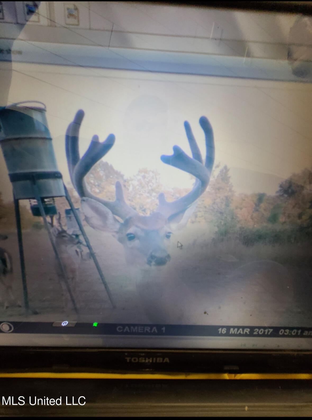 Franklin Road Goodman, MS 39079 - Photo 27 of 47 IMG_9151