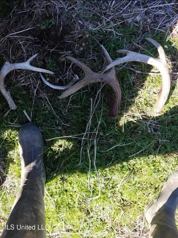 $399,000 | Franklin Road, Goodman, MS 39079