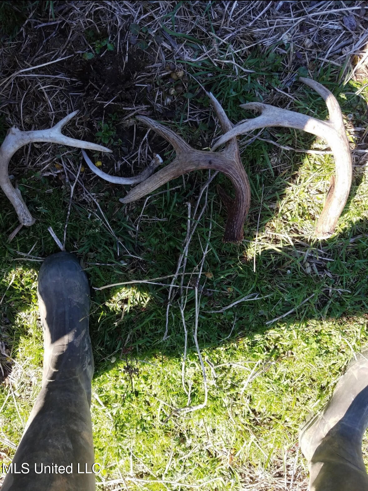 Franklin Road Goodman, MS 39079 - Photo 28 of 47 IMG_9152