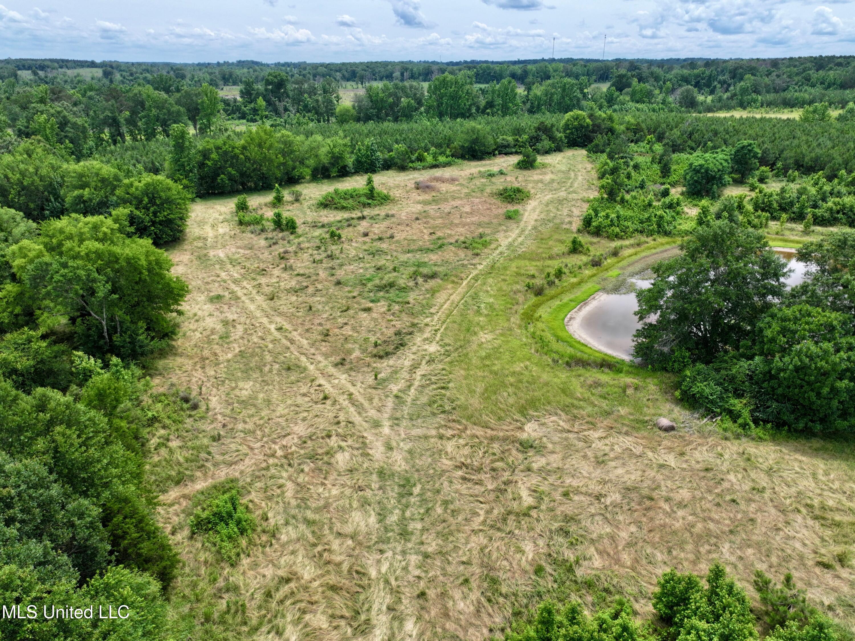 Franklin Road Goodman, MS 39079 - Photo 3 of 47 dji_fly_20250528_132440_0002_17485189628