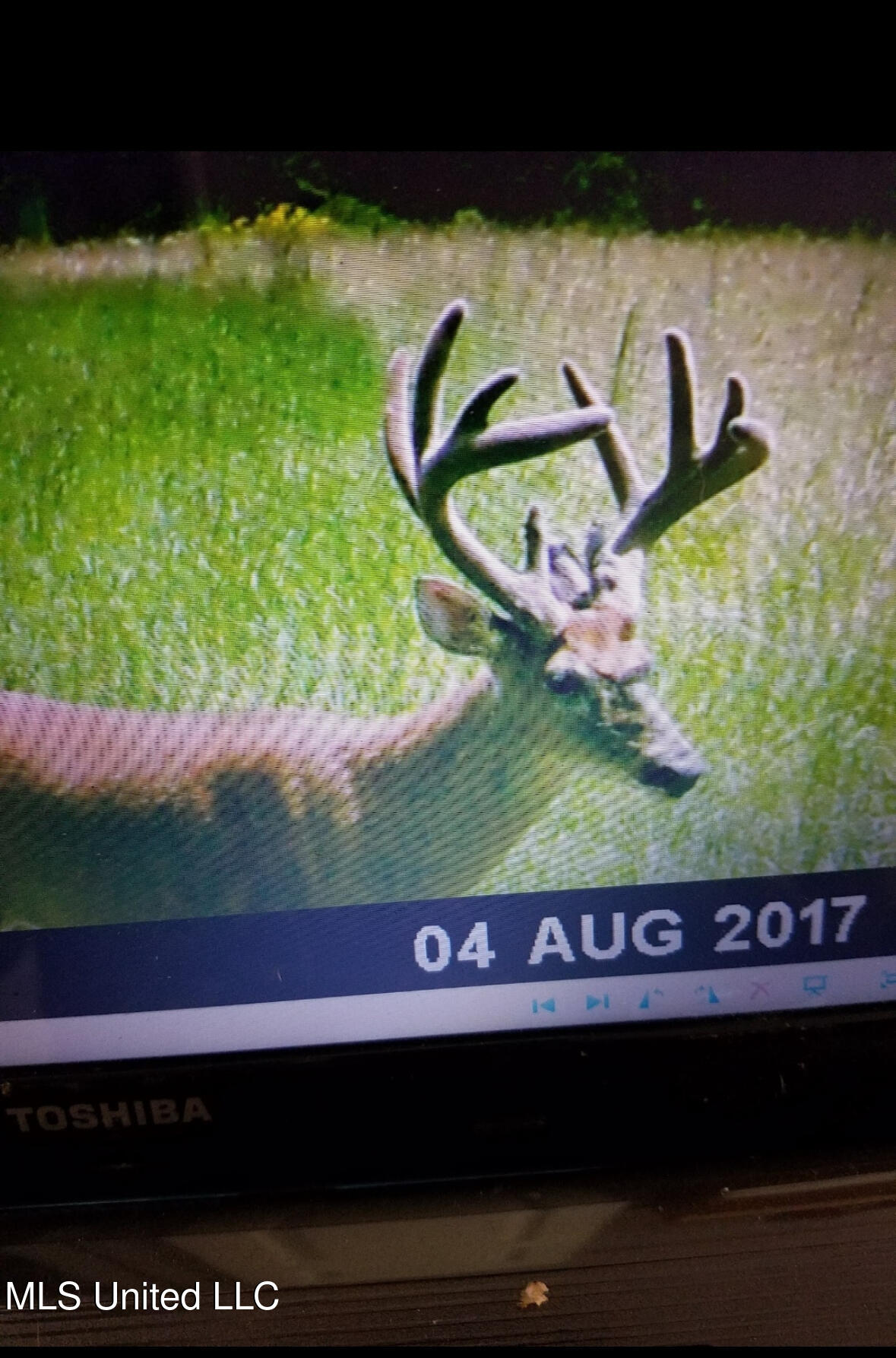Franklin Road Goodman, MS 39079 - Photo 31 of 47 IMG_9155