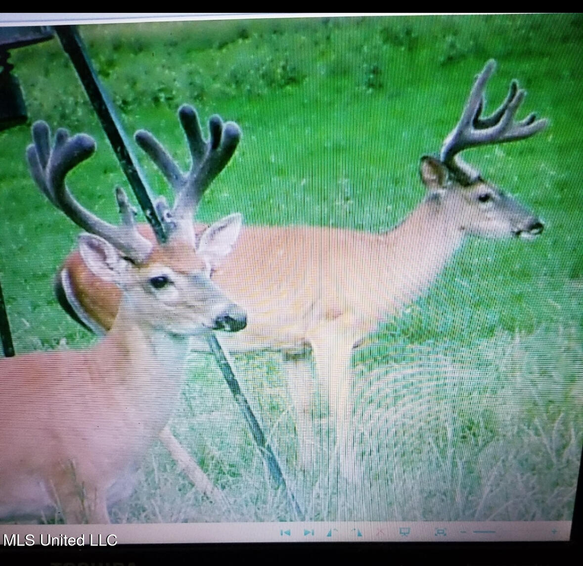 Franklin Road Goodman, MS 39079 - Photo 32 of 47 IMG_9156