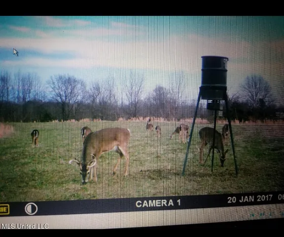 $399,000 | Franklin Road, Goodman, MS 39079