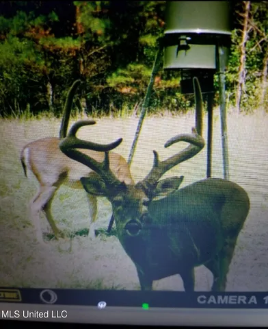 $399,000 | Franklin Road, Goodman, MS 39079