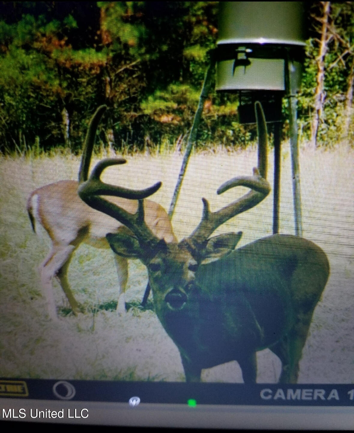 Franklin Road Goodman, MS 39079 - Photo 35 of 47 IMG_9159