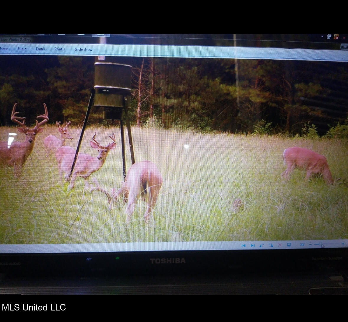 Franklin Road Goodman, MS 39079 - Photo 36 of 47 IMG_9160