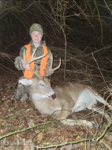 $399,000 | Franklin Road, Goodman, MS 39079