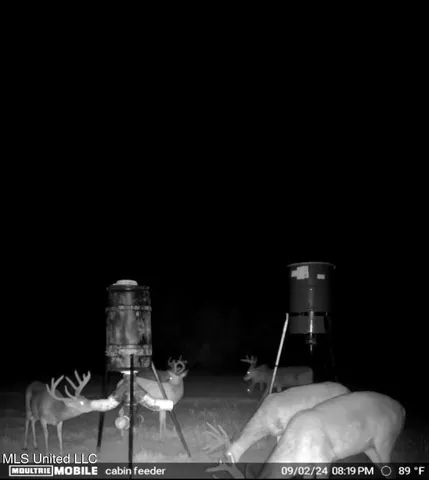 $399,000 | Franklin Road, Goodman, MS 39079