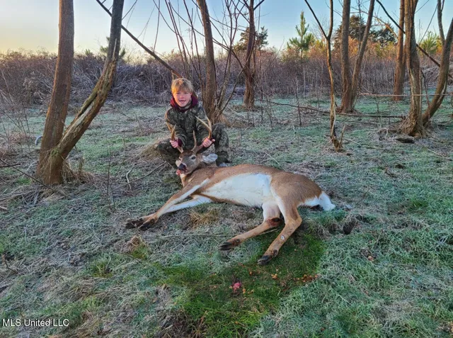 $399,000 | Franklin Road, Goodman, MS 39079