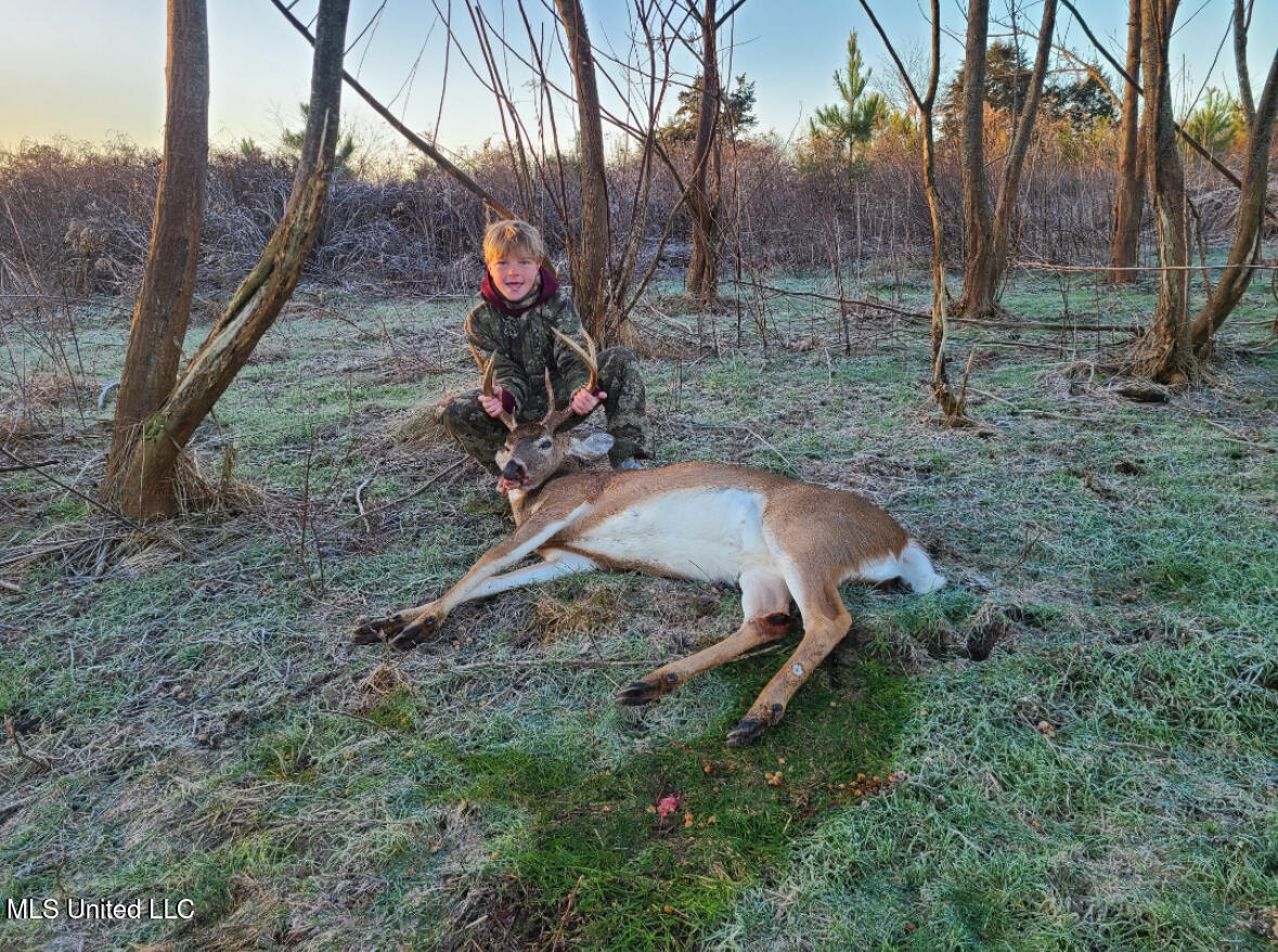Franklin Road Goodman, MS 39079 - Photo 42 of 47 IMG_9141