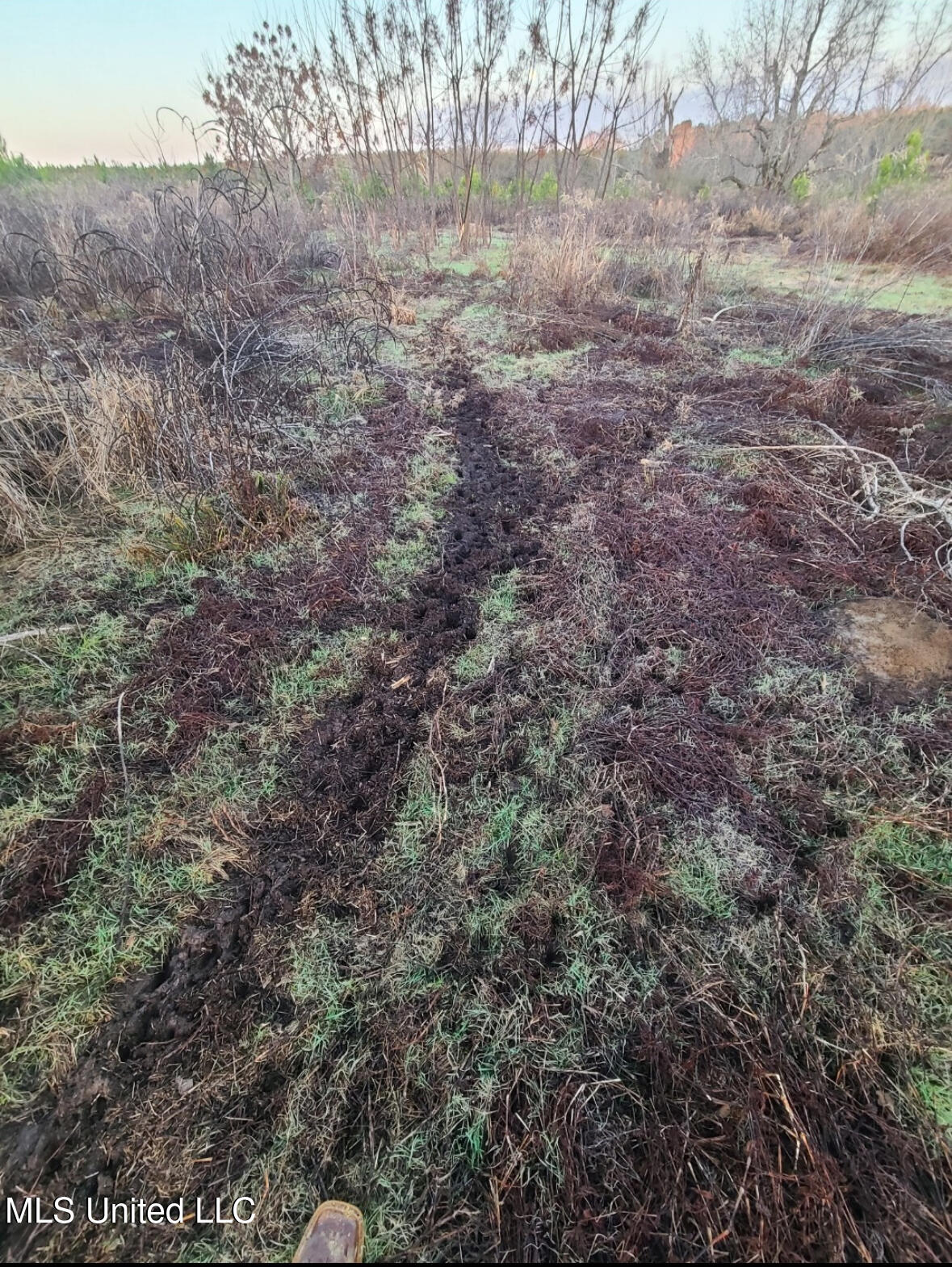 Franklin Road Goodman, MS 39079 - Photo 43 of 47 IMG_9142