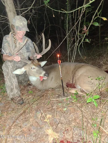 $399,000 | Franklin Road, Goodman, MS 39079