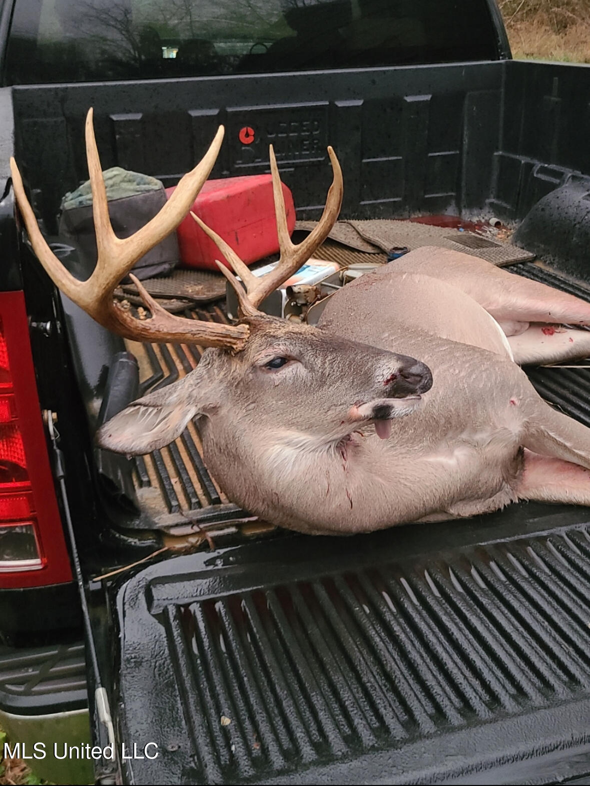 Franklin Road Goodman, MS 39079 - Photo 46 of 47 IMG_9145