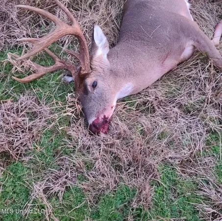 $349,000 | Franklin Road, Goodman, MS 39079