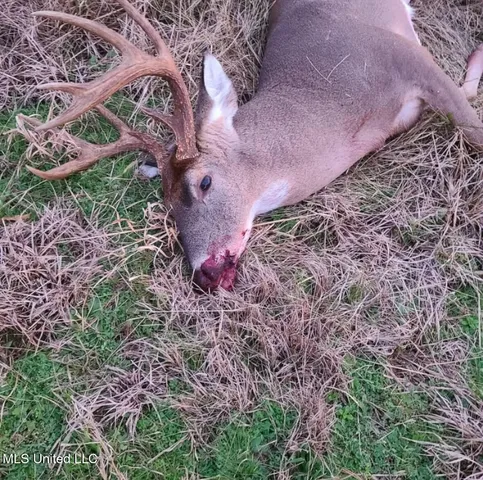 $399,000 | Franklin Road, Goodman, MS 39079