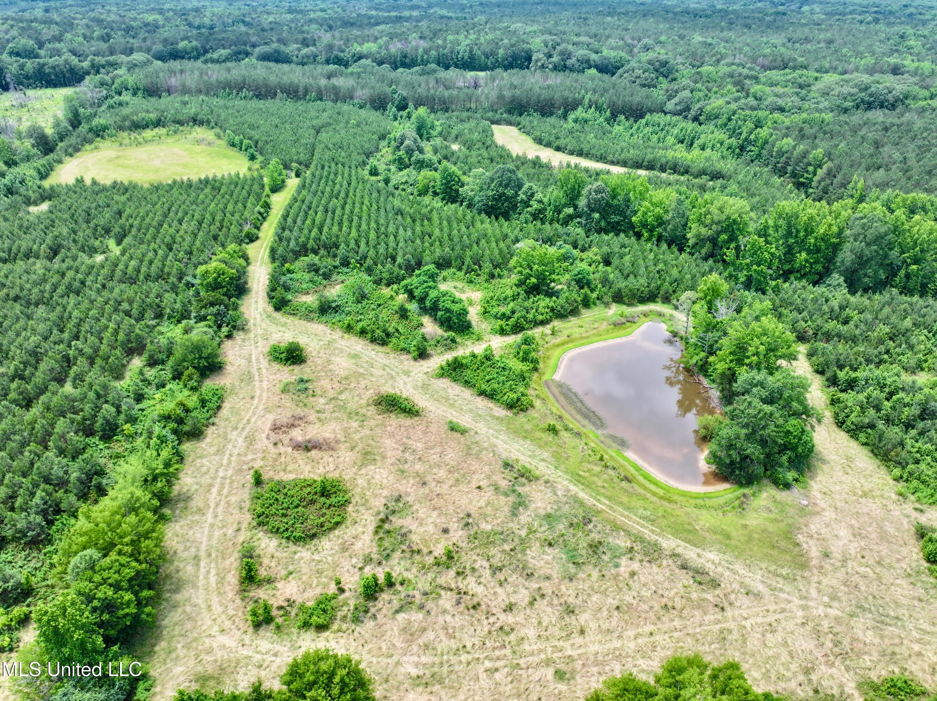 Franklin Road Goodman, MS 39079 - Photo 6 of 47 dji_fly_20250528_132528_0006_17485189524