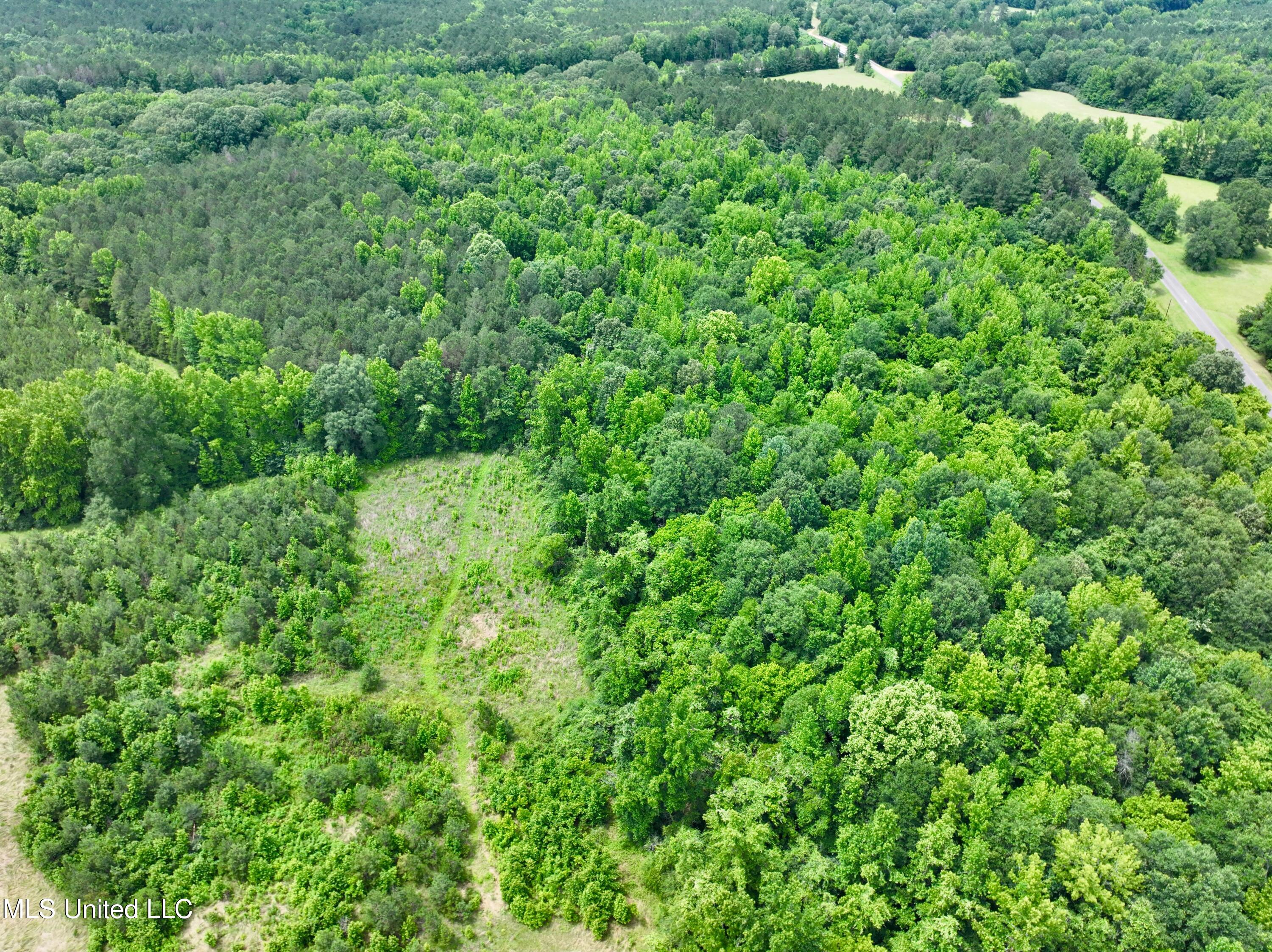 Franklin Road Goodman, MS 39079 - Photo 9 of 47 dji_fly_20250528_132618_0008_17485189468