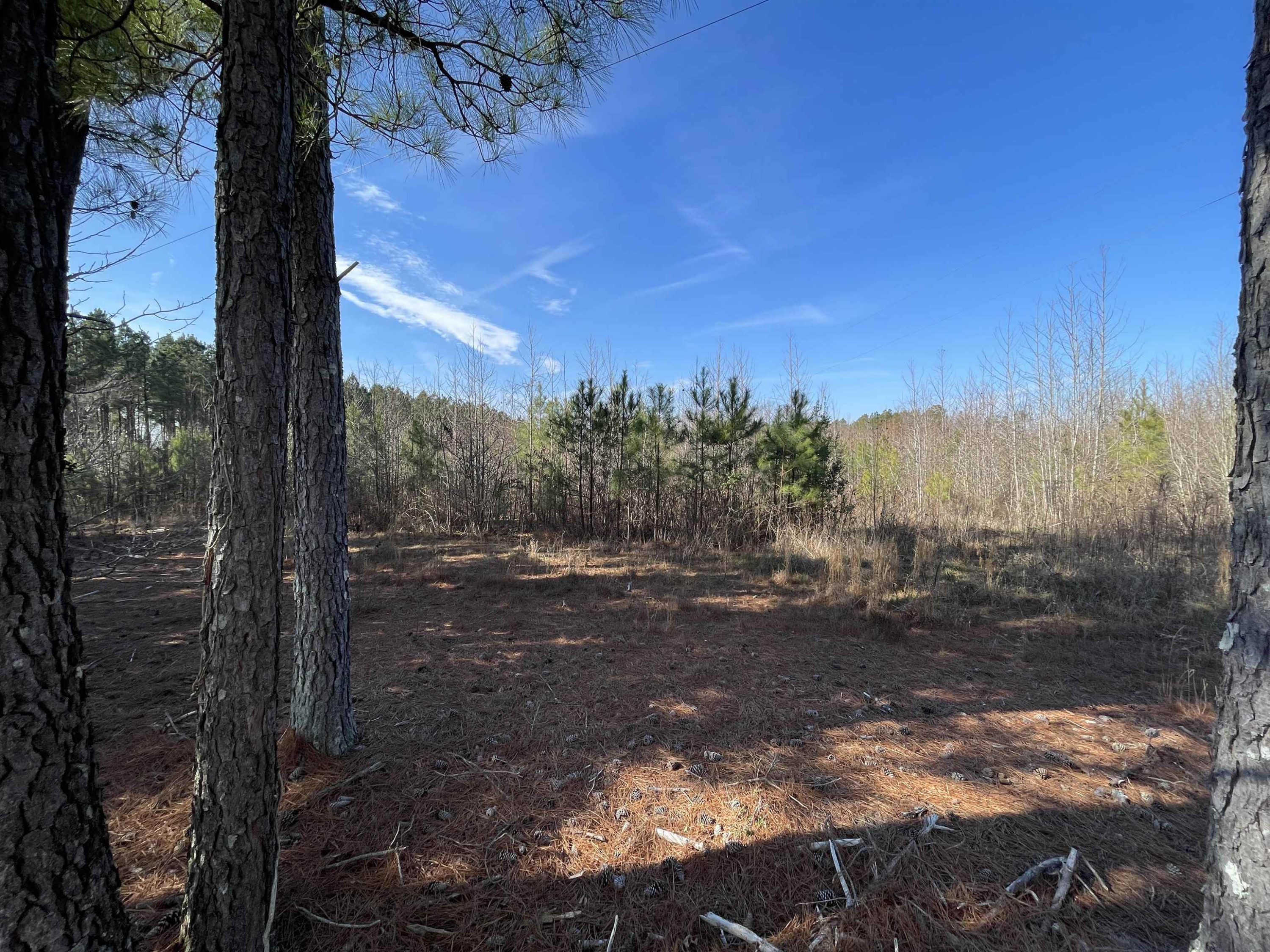 2 A Lettuce Hall Rd Spring Spring Hope, NC 27882 - Photo 2 of 7 Photo 2