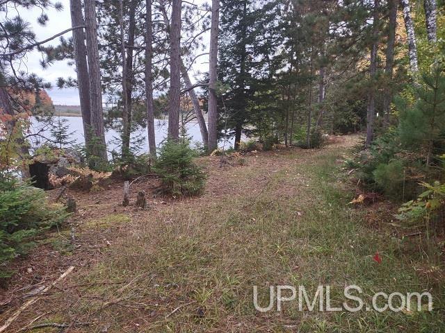 5800 Wolf Lake Road Watersmeet, MI 49969 - Photo 26 of 86