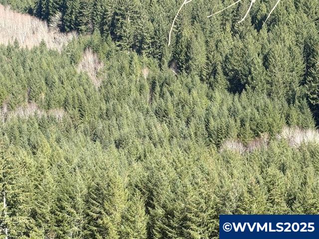 0 Logsden Road Blodgett, OR 97326 - Photo 7 of 24