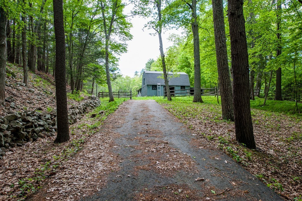 5 Holmes Road Boxford, MA 01921 - Photo 26 of 30 a view of a backyard with large trees and plants