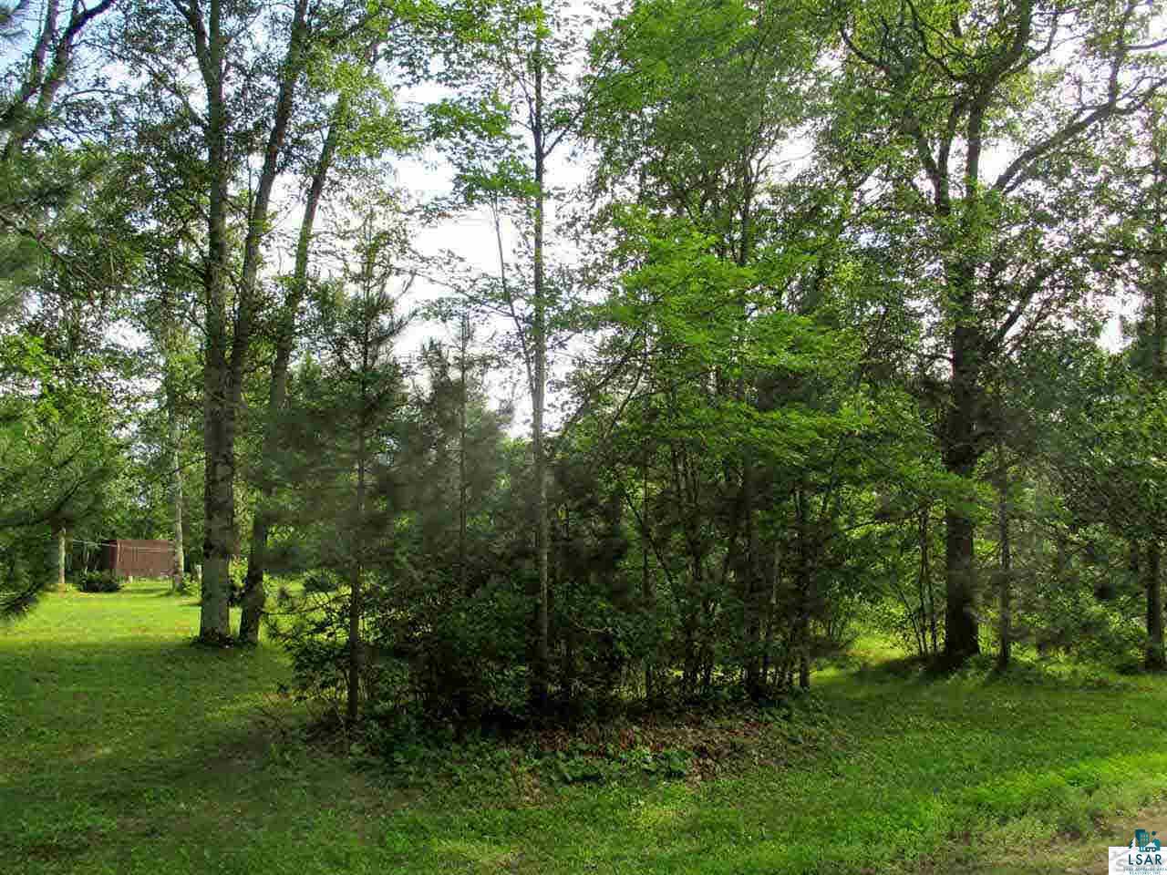 9049 Biller Loop Solon Springs, WI 54873 - Photo 4 of 24 Large mature maple & pine trees