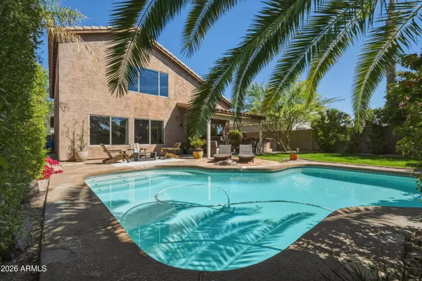 a view of a backyard with plants and swimming pool