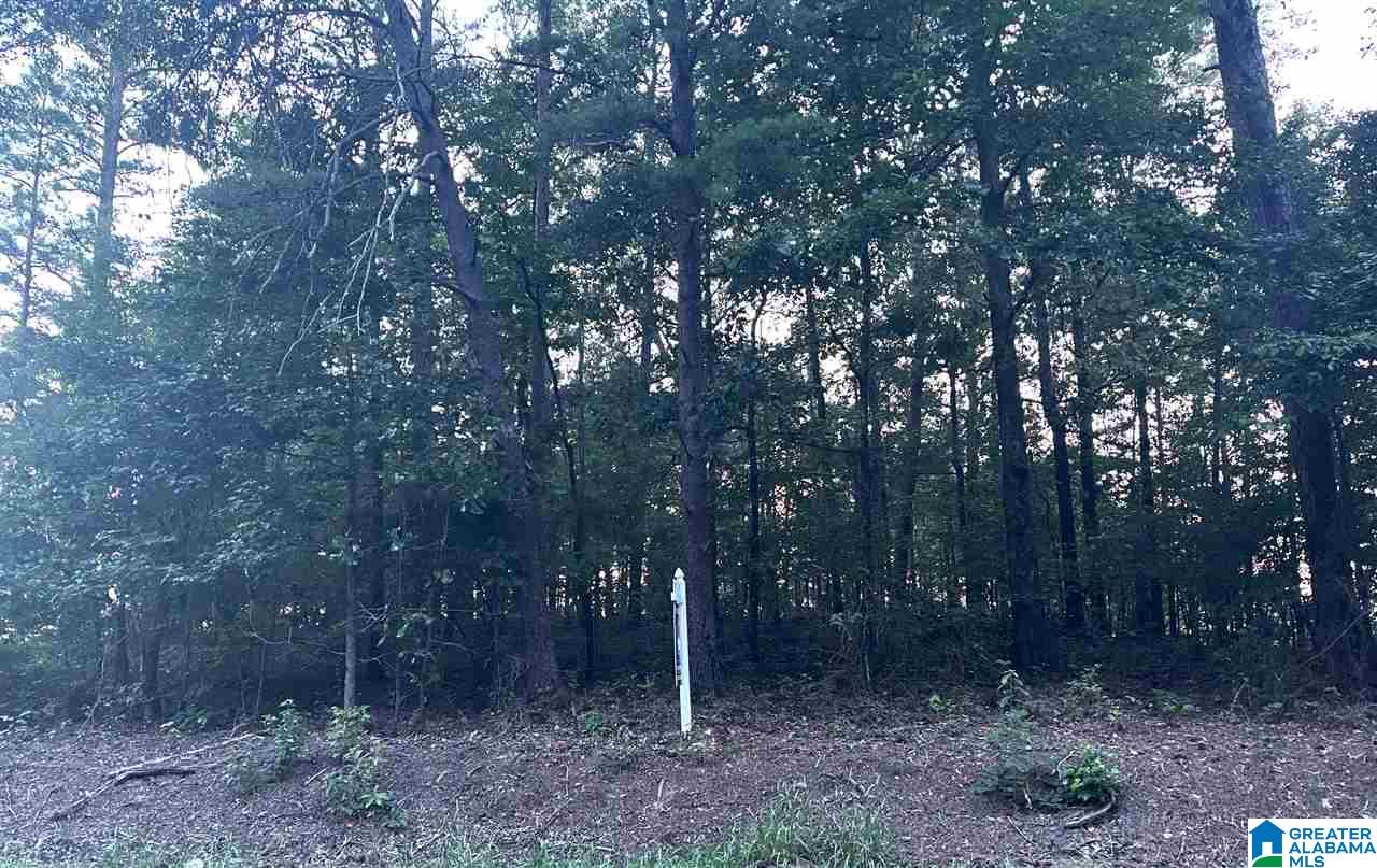 576 Buddy Vines Camp Road, Unit 6 Bessemer, AL 35023 - Photo 1 of 1