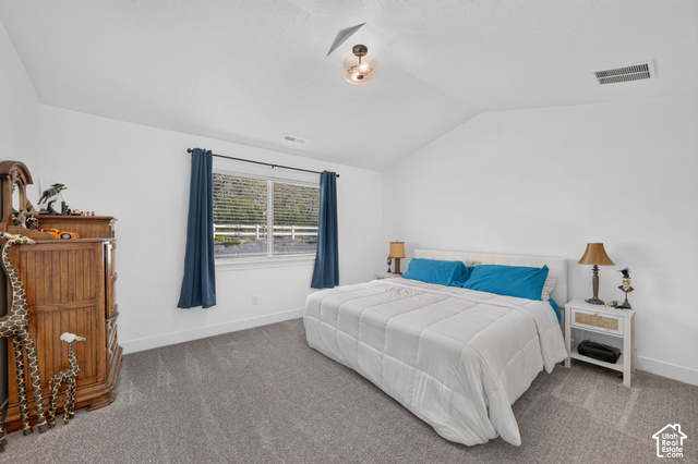 4751 Heartwood Road Mapleton, UT 84664 - Photo 15 of 33 Vaulted ceiling with an attached light fixture, a window with horizontal blinds, and neutral carpet flooring