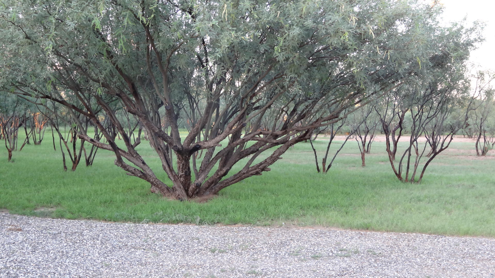 6200 South Valencia Ranch Road Tucson, AZ 85735 - Photo 34 of 35 Gallery Image 34