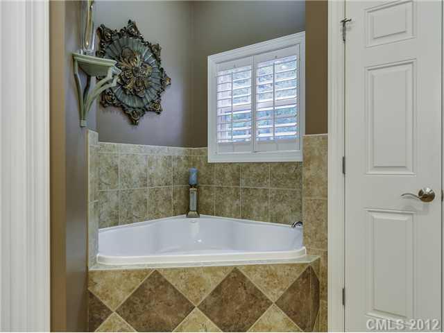 17610 Meadow Bottom Road Charlotte, NC 28277 - Photo 12 of 16 Gallery Image 12
