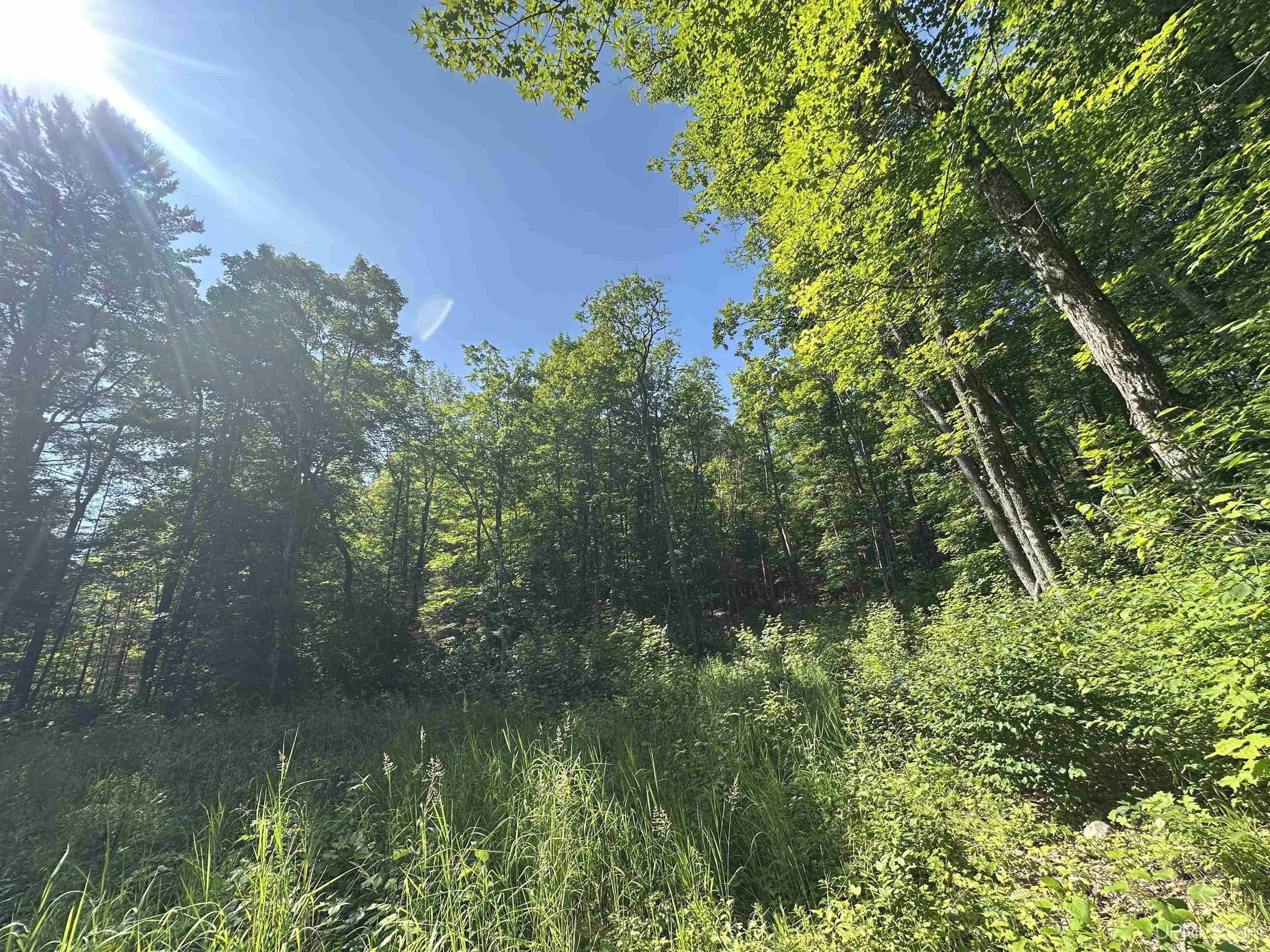 Off Indian Lake Road Michigamme, MI 49861 - Photo 2 of 9