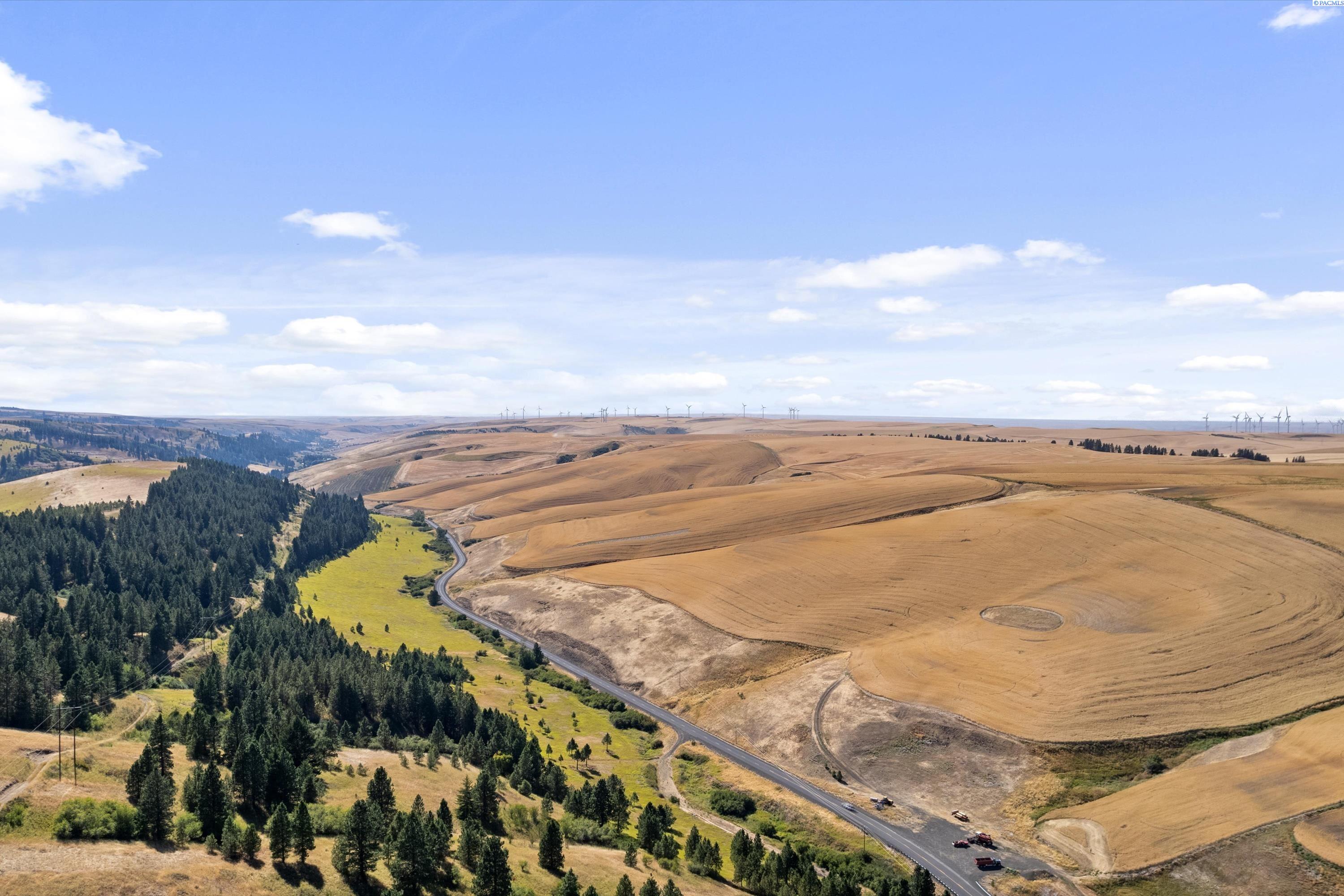 1241 Patit Road Dayton, WA 99328 - Photo 12 of 48 Gallery Image 12