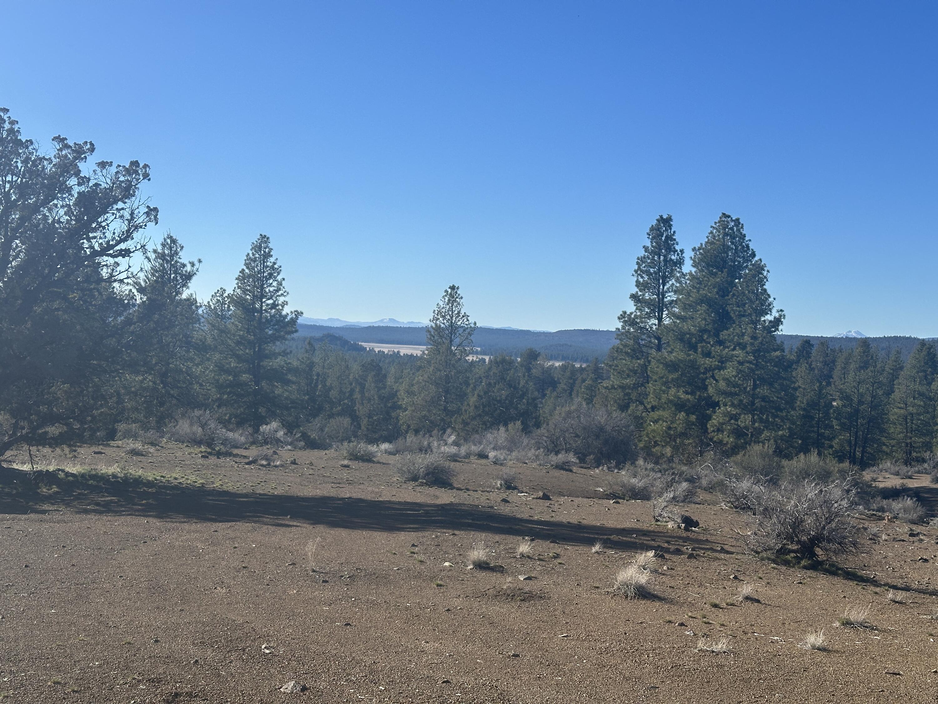 Ruffed Grouse Lane, Unit TL Chiloquin, OR 97624 - Photo 5 of 5 neighborhood