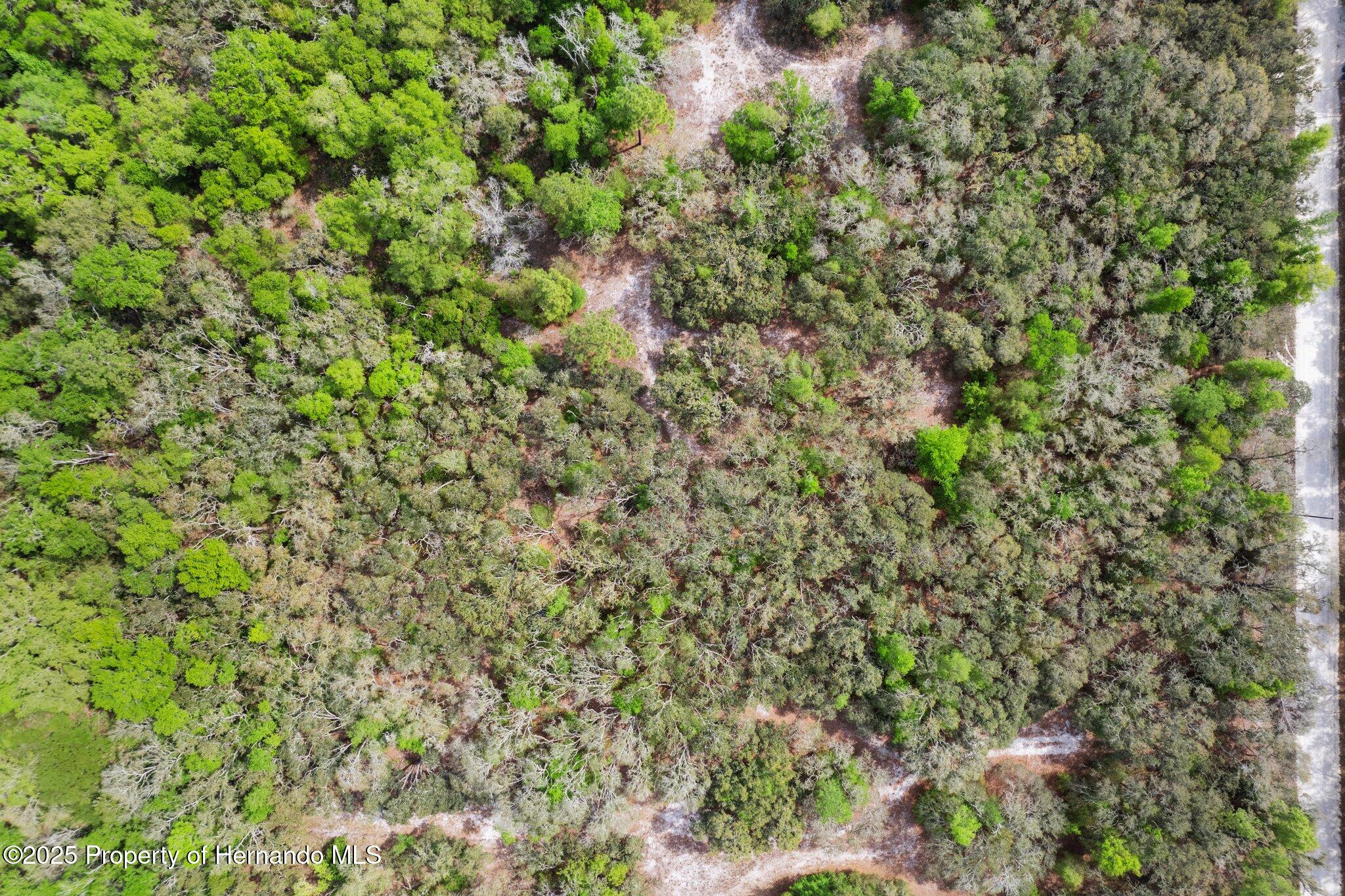 0 Rimrock Street Webster, FL 33597 - Photo 25 of 25