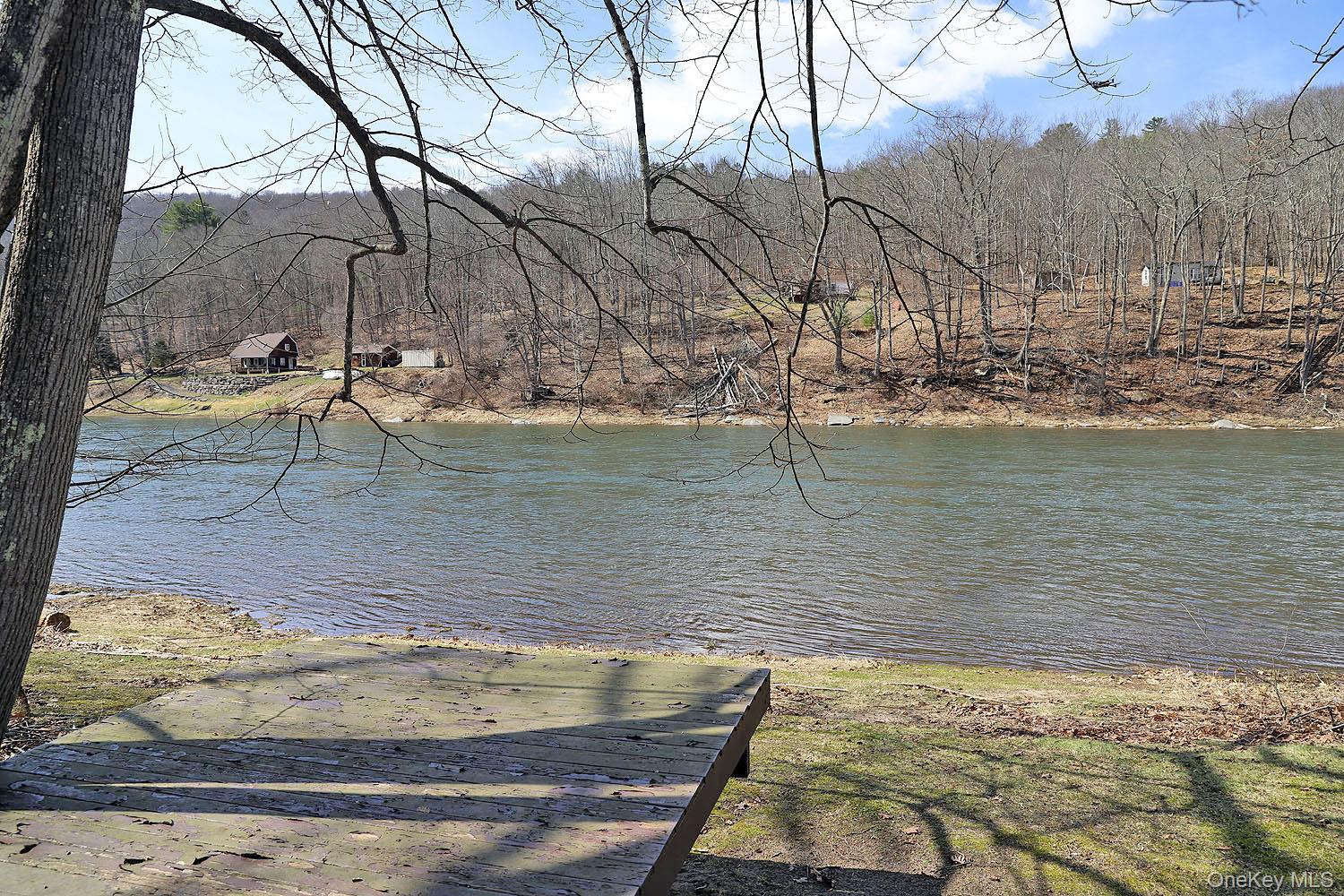 860 River Road Callicoon, NY 12723 - Photo 4 of 27 Property includes 150' of Delaware riverfront.