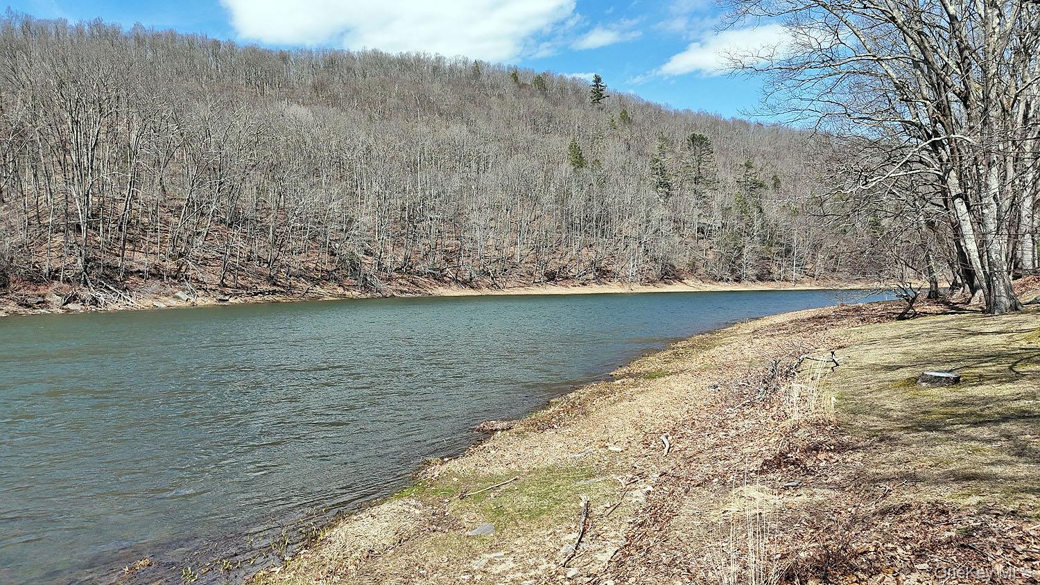 860 River Road Callicoon, NY 12723 - Photo 6 of 27 Looking upstream...