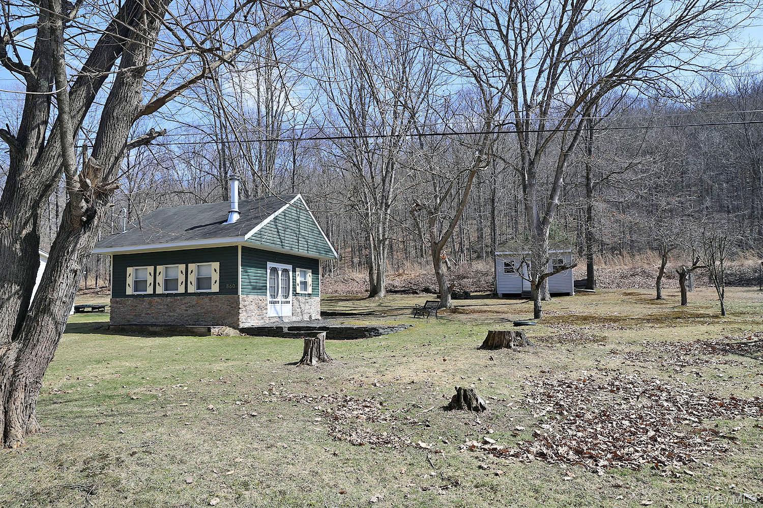 860 River Road Callicoon, NY 12723 - Photo 8 of 27 Sunny exposure.