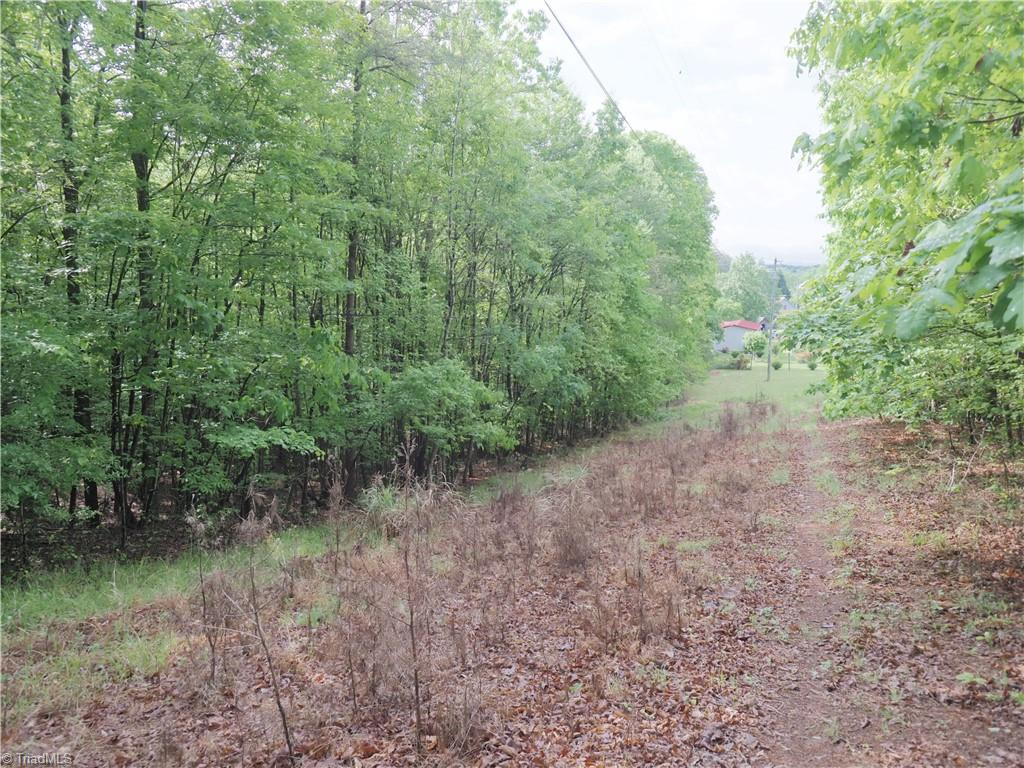 7-ac Dearmin Road Westfield, NC 27053 - Photo 19 of 22 Gallery Image 19