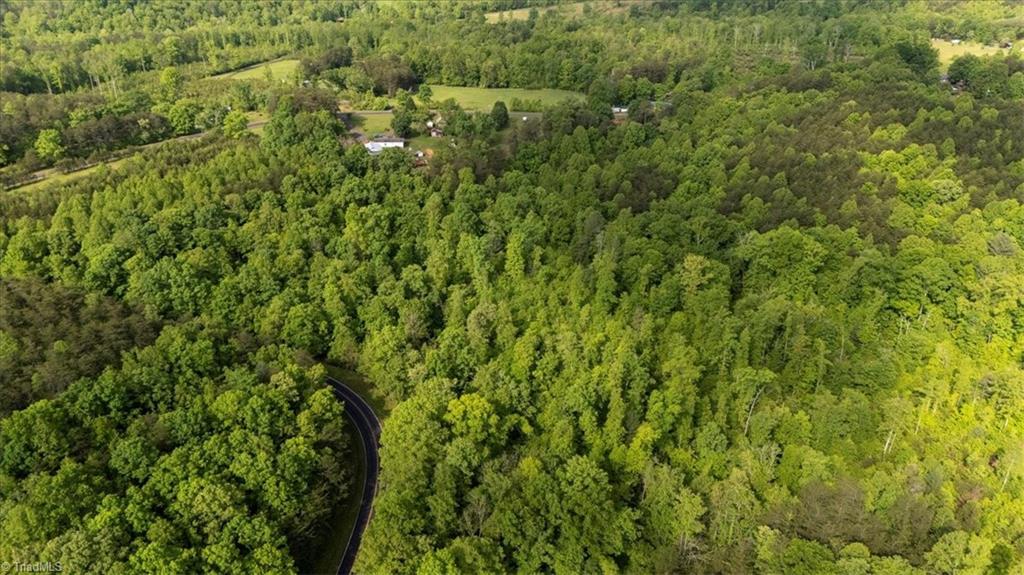 7-ac Dearmin Road Westfield, NC 27053 - Photo 3 of 22 Gallery Image 3
