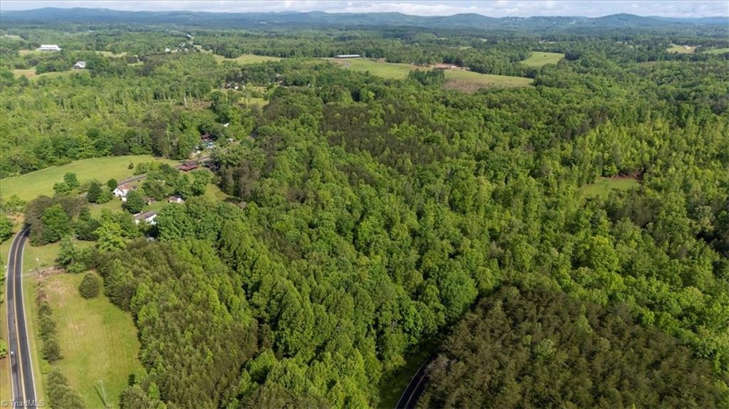 7-ac Dearmin Road Westfield, NC 27053 - Photo 4 of 22 Gallery Image 4