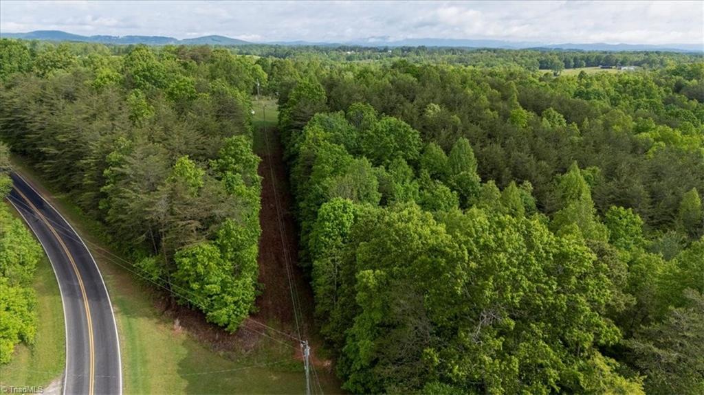 7-ac Dearmin Road Westfield, NC 27053 - Photo 8 of 22 Gallery Image 8