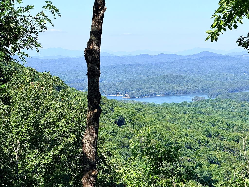Lot2 Deer Crest Overlook Blue Ridge, GA 30513 - Photo 2 of 12 True view from ground level