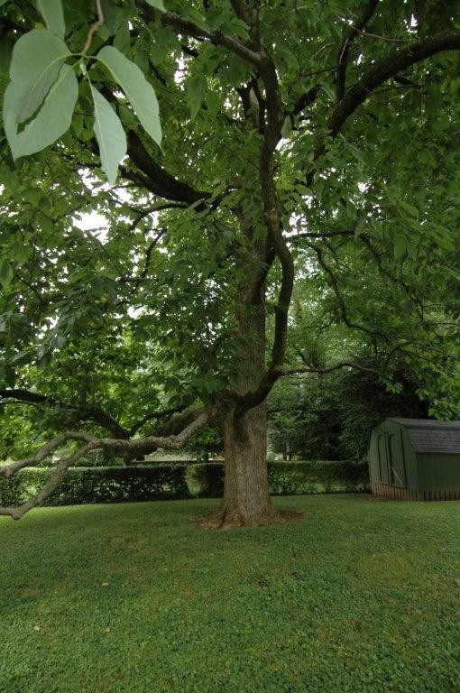 1230 Kastle Road Lexington, KY 40502 - Photo 23 of 23 Photo 23