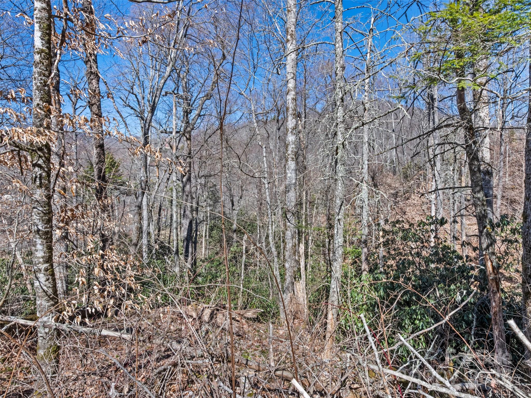 Lot 7 Spruce Flats Road Maggie Valley, NC 28751 - Photo 11 of 11 a view of a yard