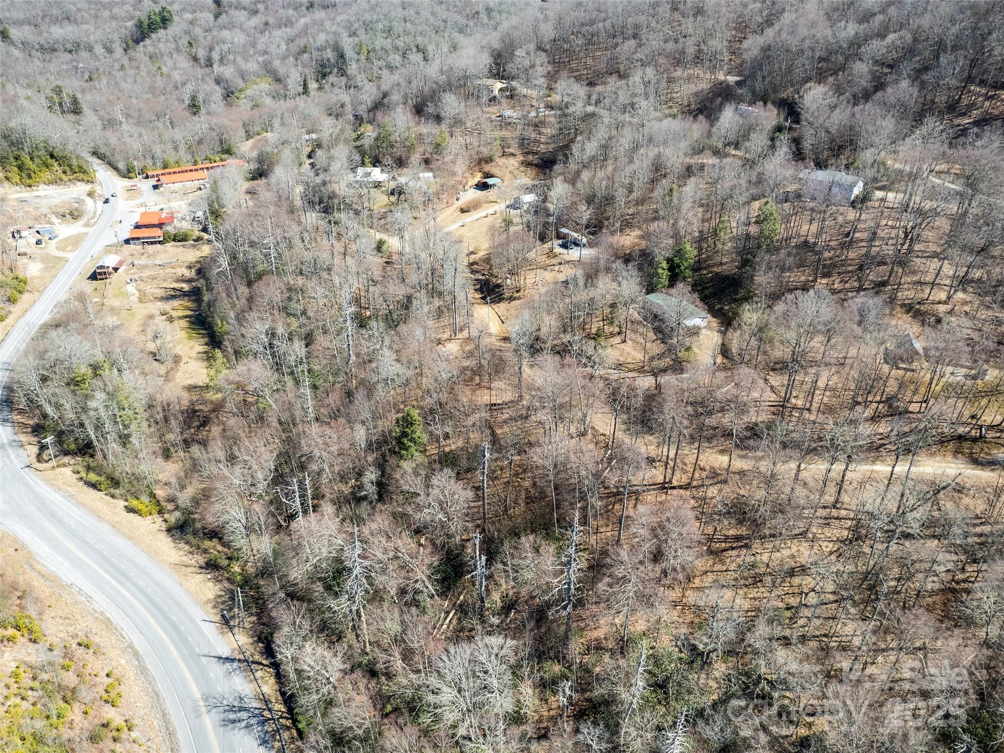 Lot 7 Spruce Flats Road Maggie Valley, NC 28751 - Photo 4 of 11 a view of a outdoor space with a tree