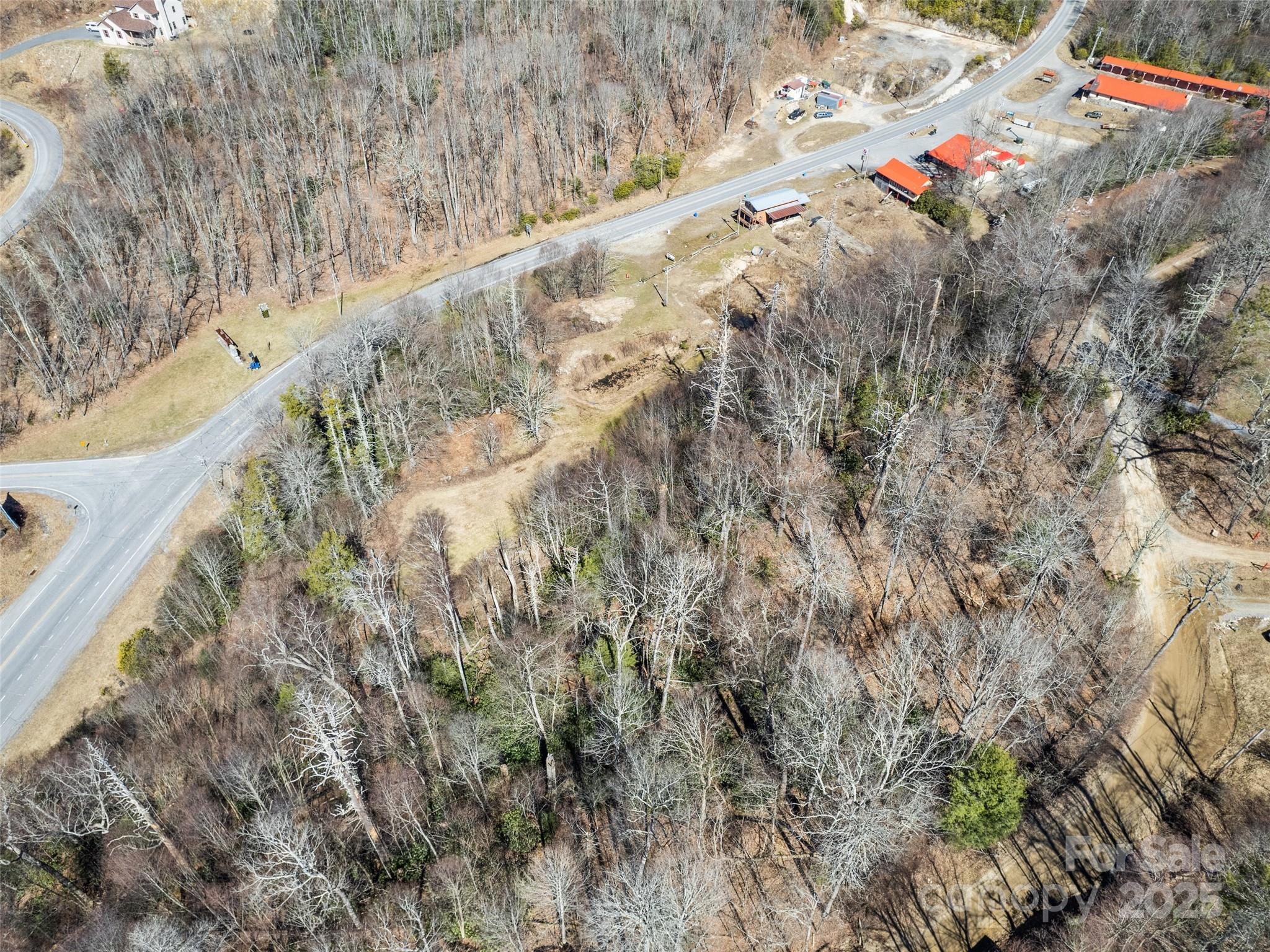 Lot 7 Spruce Flats Road Maggie Valley, NC 28751 - Photo 6 of 11 a view of small yard