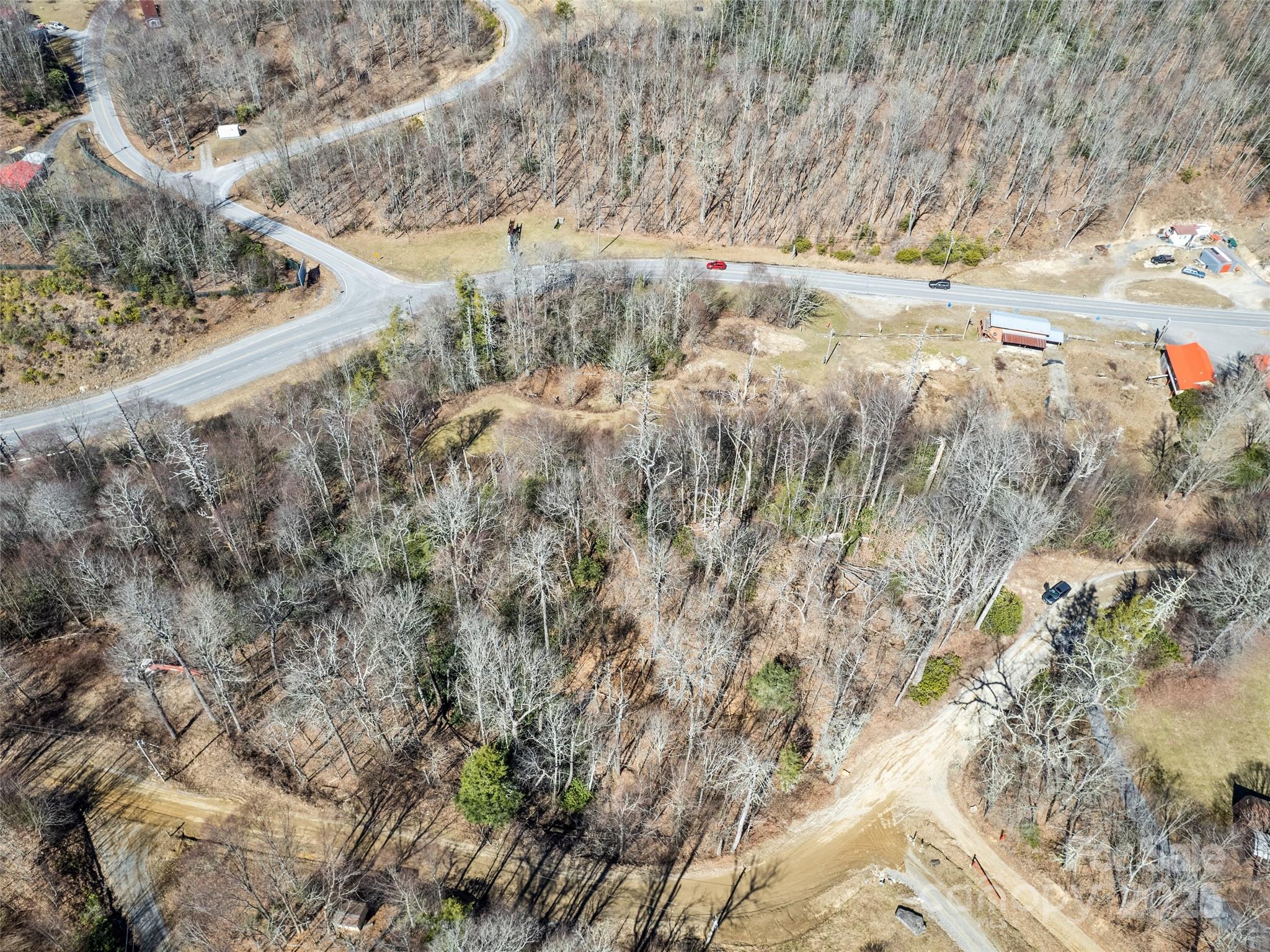 Lot 7 Spruce Flats Road Maggie Valley, NC 28751 - Photo 7 of 11 a view of a yard with a tree